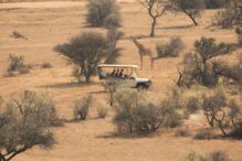 Game Drives